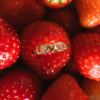 Endless love - Thumbnail Image 5