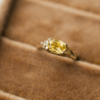 Promise Ring - Growth - Thumbnail Image 3